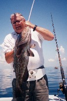 A typical Florida Keys gag grouper