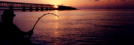 Fishing for tarpon at the Bahia Honda bridge in the Florida Keys