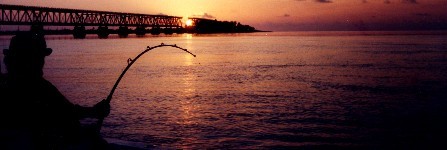 The evening tarpon bite in the Florida Keys